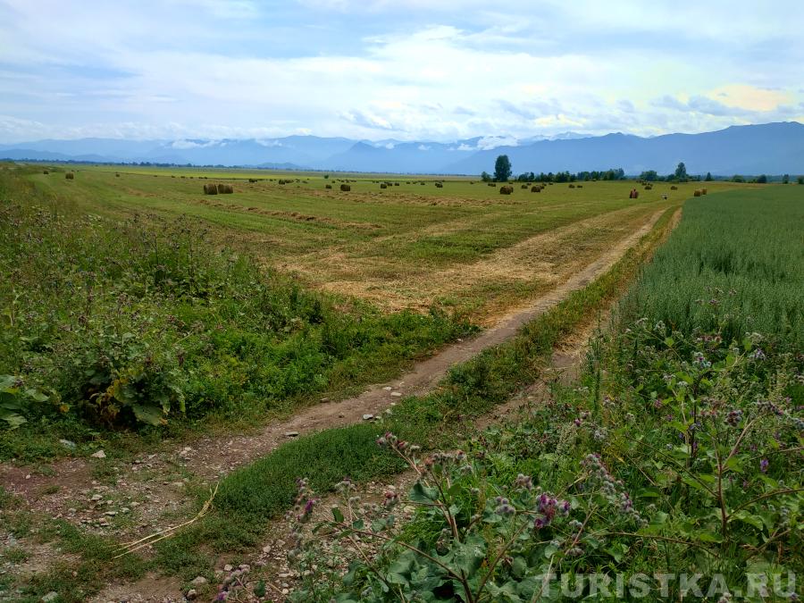 Стога и поле овса в Уймонской долине