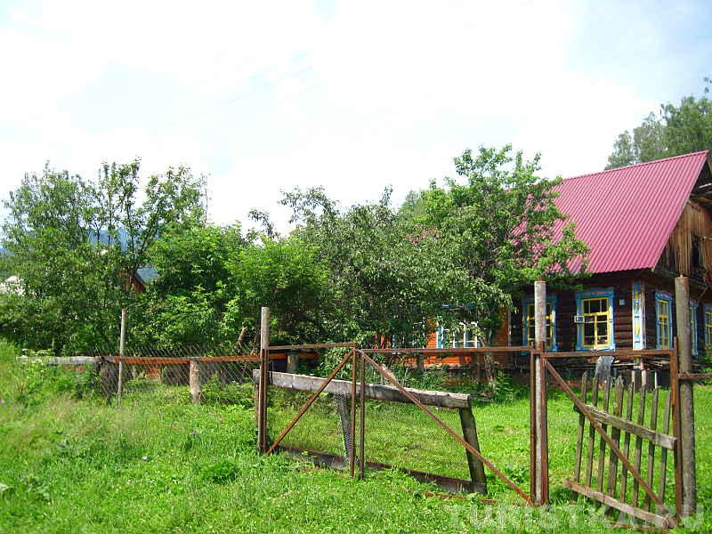 Плодовые деревья на приусадебном участке