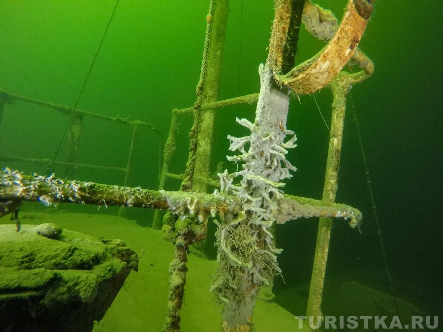 Теплоход «Ирбис»