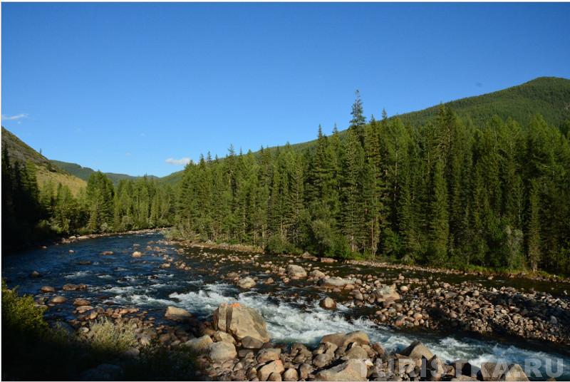Река Чулышман (Язула, кордон)