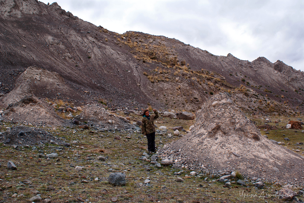 Конусообразные кучи грунта высотой 2-3 м - остатки кусков вечной мерзлоты