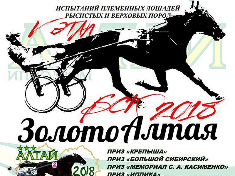 Скачки в Белокурихе 