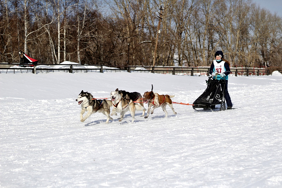 Ольга Разенкова, 25 км