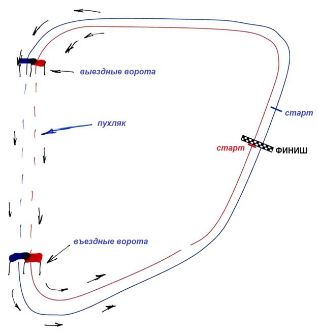 Гонка на снегоходах "Телецкое снежное ралли 2022"
