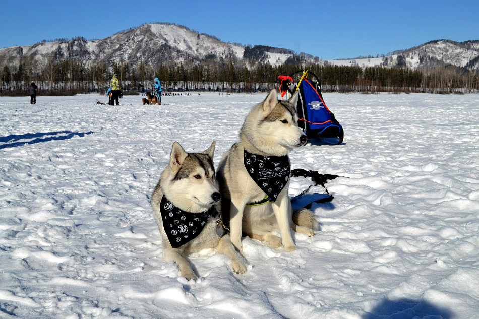 Команда Томские корсары 2016 г