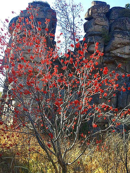 Каменные башни