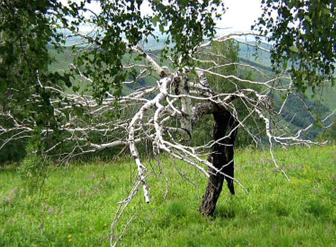 После удара молнии