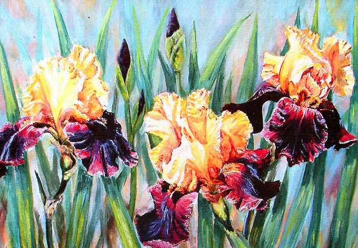 Н. Сафронова. Ирисы