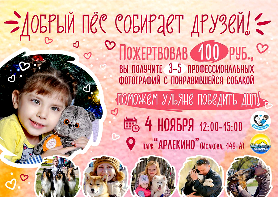 Фото-сессия Добрый пес