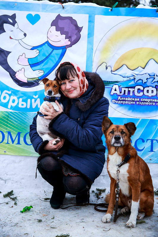 Фото-сессия Добрый пес