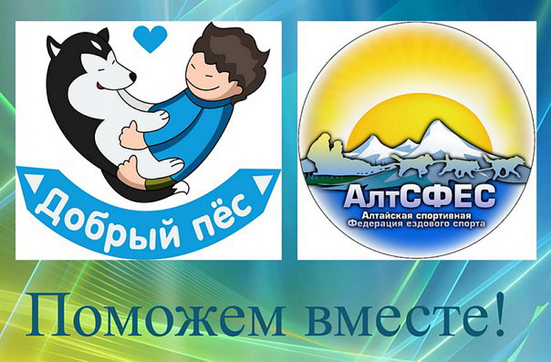 Фото-сессия Добрый пес