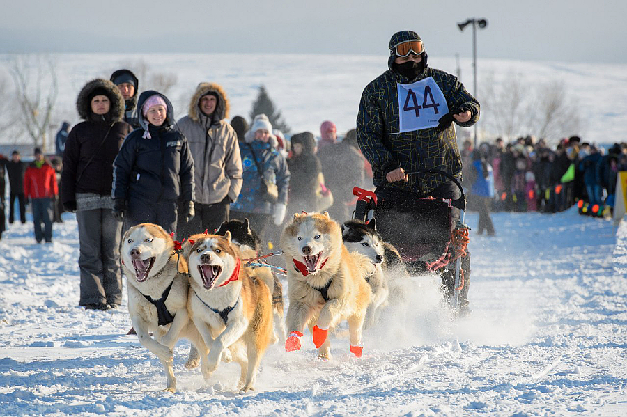 Соревнование