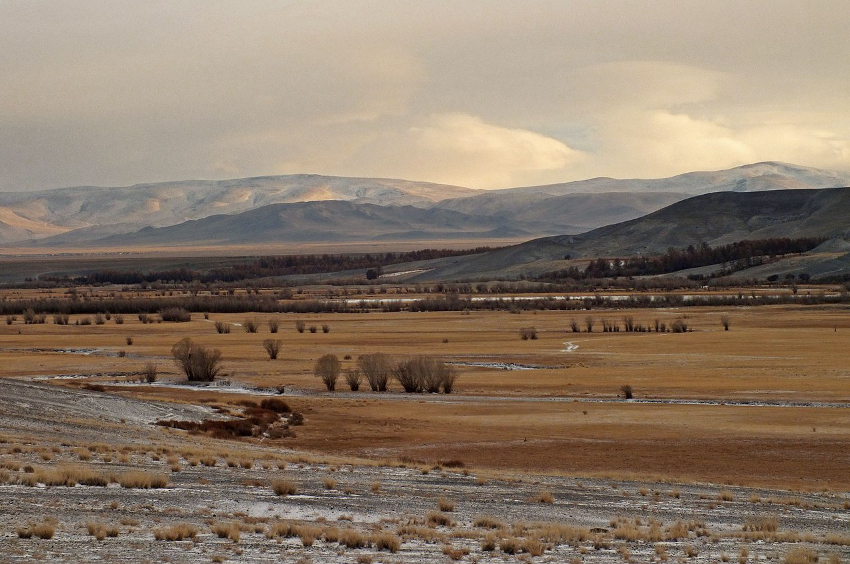 Просторы Чуйской степи