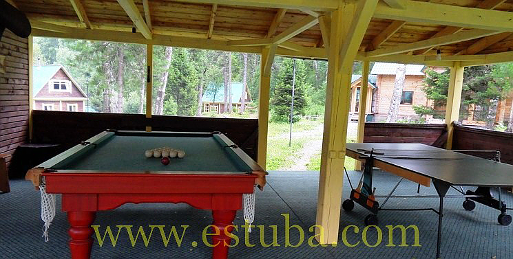 Теннис, бильярд