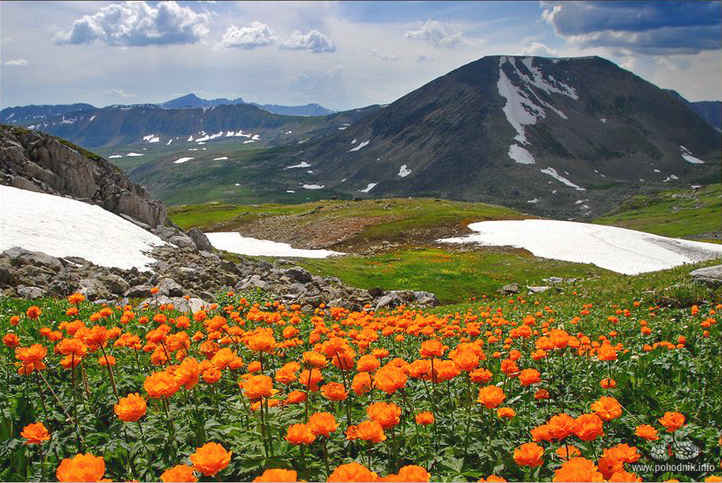 В разгар лета 