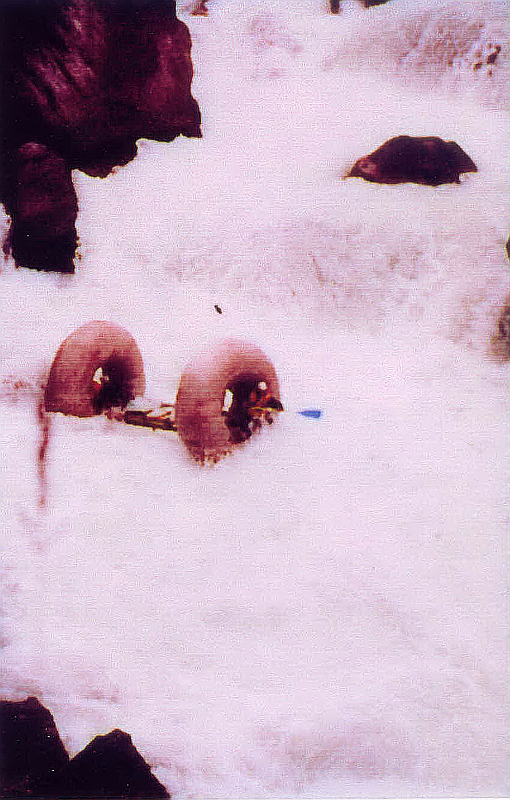 Первый каскад водопадов позади