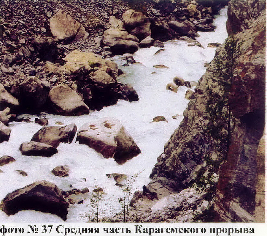 4-5 м сливы после самого опасного участка