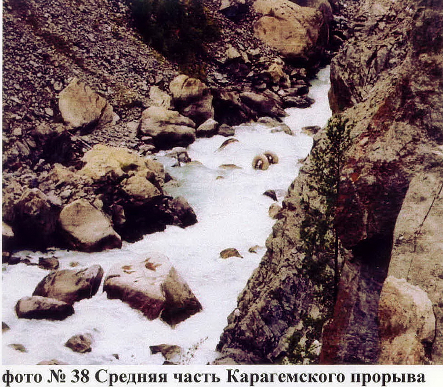 4-5 м сливы после самого опасного участка