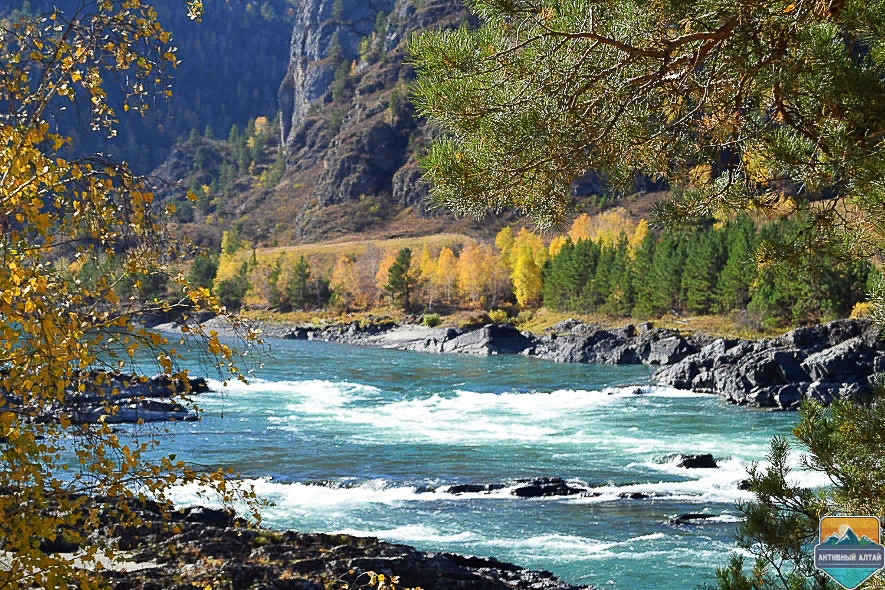 Река Катунь