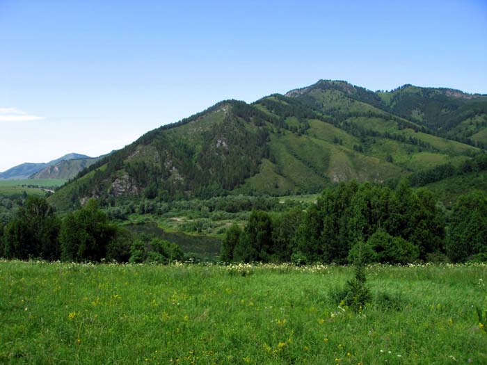 Солонешенский район Алтайского края