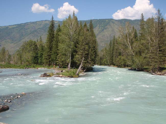 Бирюзовая Кучерла