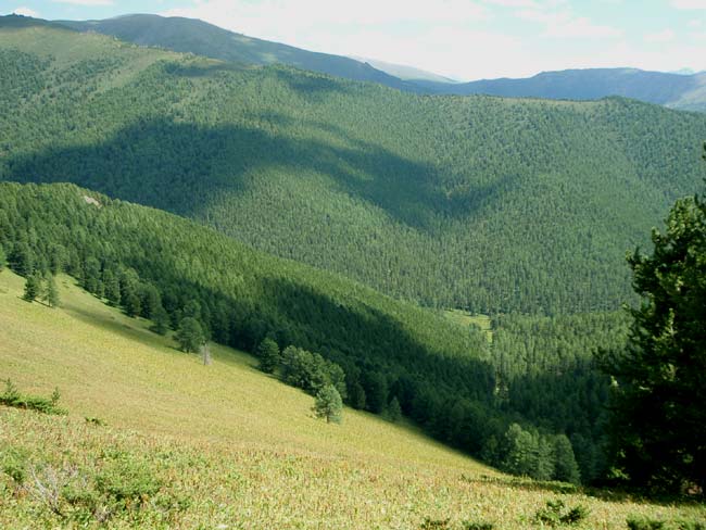 Здесь поджидал Алтаец с бараном