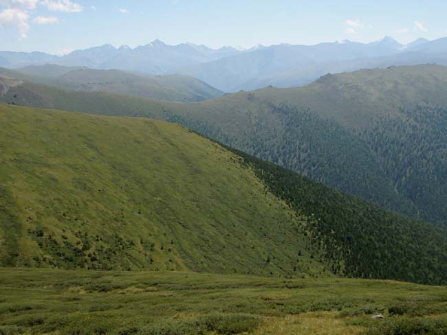 Граница леса и степи