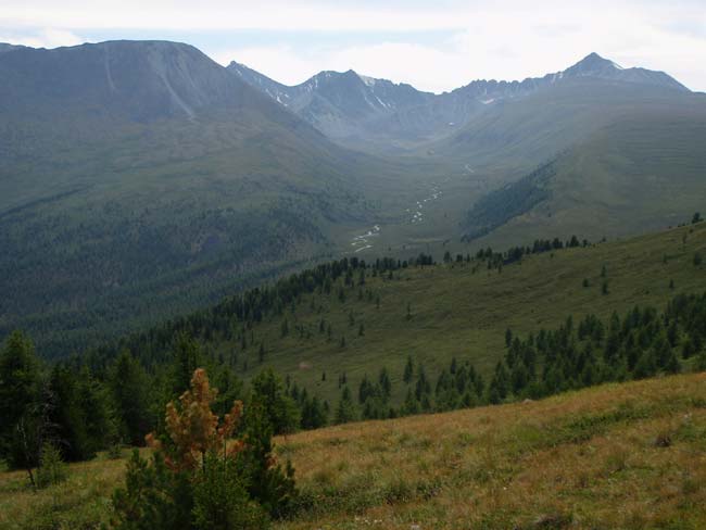 Река Барталдах