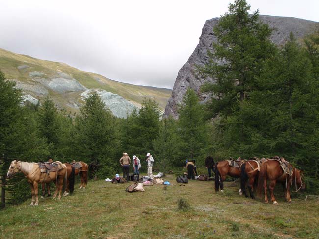 Стоянка в ущелье среди лиственниц