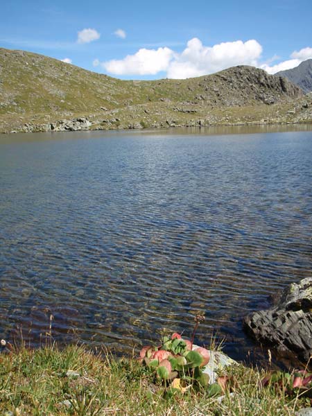  Черное озеро