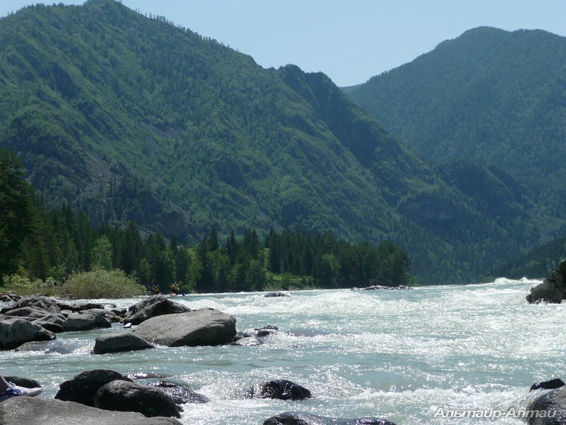 Перед Шабашем