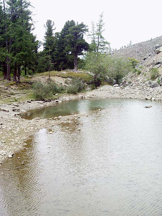 Озеро Сачки