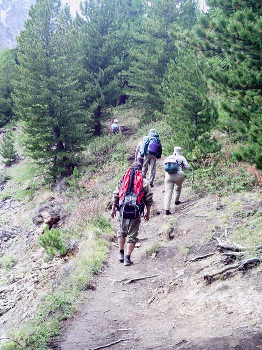 К  Б. Актру и Голубому озеру. Начало пути