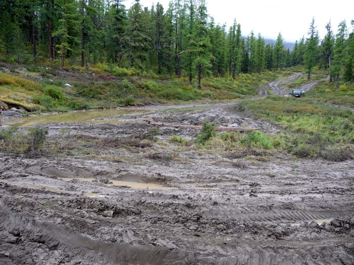 Дорога лучше не стала