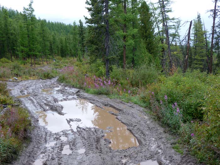 Дорога лучше не стала