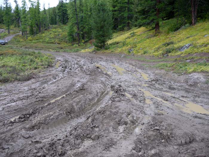 Дорога лучше не стала