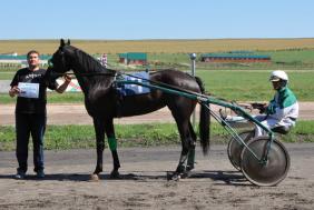 Отдых на Алтае : Скачки в Белокурихе 