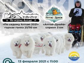 Гонка на собачьих упряжках "По седому Алтаю-2021"