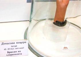 Браслет из хлоритолита, изготовленный около 48 тыс. лет назад