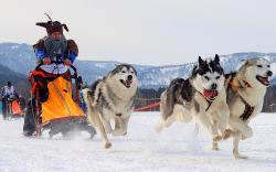 Горный Алтай : Гонки на собачьих упряжках «Алтай-драйв-2017» 