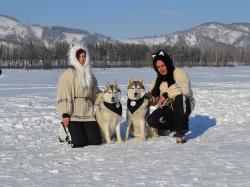 Горный Алтай : Гонки на собачьих упряжках «Алтай-драйв-2017» 