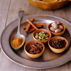 Горный Алтай : Фестиваль AreYouVedic :