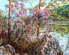 Горный Алтай : Село Аскат : Н. Сафронова. В лучах восходящего солнца