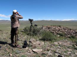 Горный Алтай : Алтайская биосферная экспедиция 2012 : Наблюдение за пернатыми