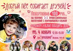 Отдых на Алтае : Заимка Борискин лог : Фото-сессия Добрый пес