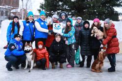 Отдых на Алтае : Заимка Борискин лог : Фото-сессия Добрый пес