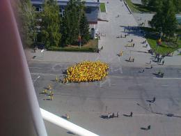 Алтайский край Барнаул : Праздник сыра 2012 : Флешмоб Праздника сыра