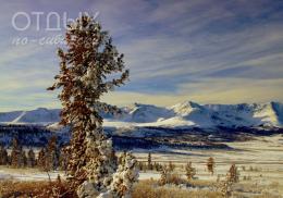 Фотоконкурс «Любимая Сибирь»  