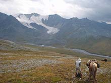 Горный Алтай : Конный поход к Белухе :  Впереди ледник Текелю и р. Текелю