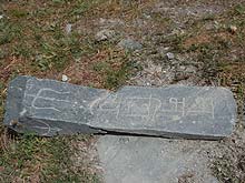 Горный Алтай : Конный поход к Белухе : Петроглифы  Рериховцев